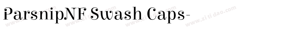 ParsnipNF Swash Caps字体转换